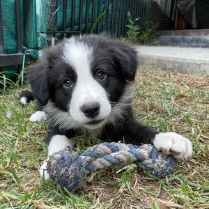 Meet your Posher, Kaci